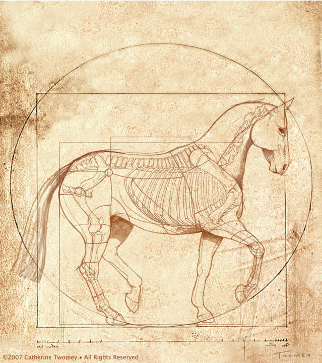 Pittura intitolato "Da Vinci Horse in P…" da Catherine Twomey, Opera d'arte originale, Olio