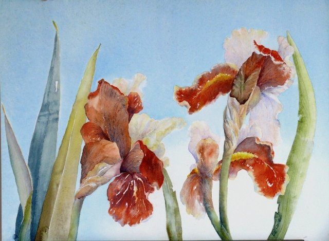 Malarstwo zatytułowany „iris carte vermeil” autorstwa Catherine Vanel, Oryginalna praca