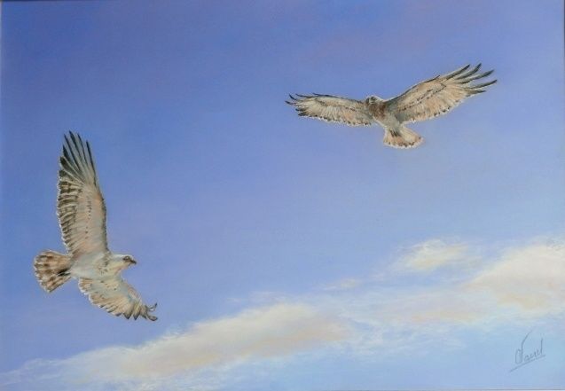 Dessin intitulée "liberté" par Catherine Vanel, Œuvre d'art originale, Pastel