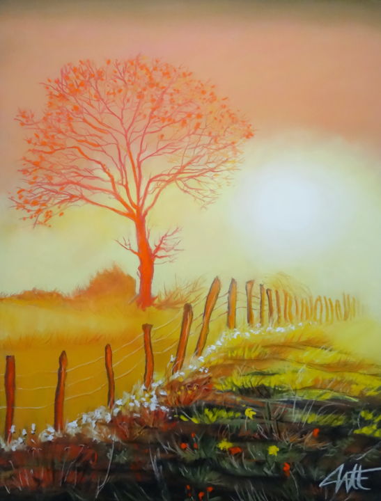 Painting titled "L'OR DU SOIR SUR LA…" by Catherine Wernette, Original Artwork, Pastel