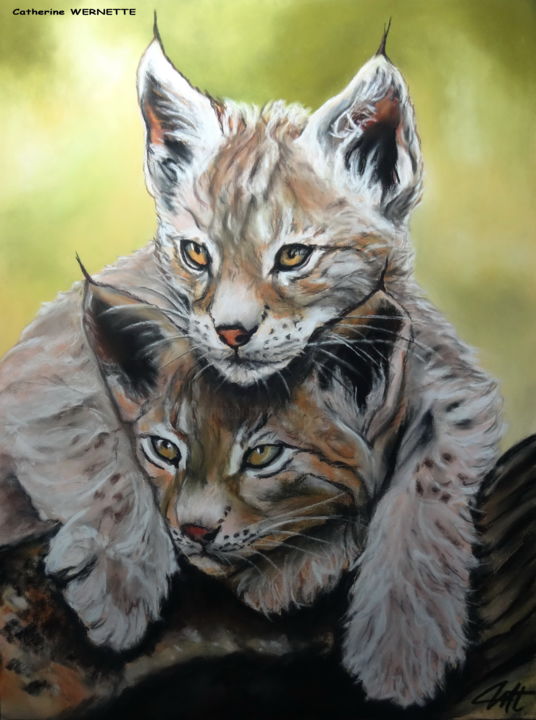Painting titled "LYNX" by Catherine Wernette, Original Artwork, Pastel