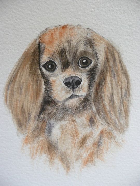 Painting titled "CAVALIER KING CHARL…" by Cathou-Bazec, Original Artwork, Watercolor