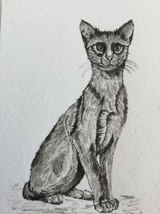 Drawing titled "CHAT SIAMOIS" by Cathou-Bazec, Original Artwork, Ink
