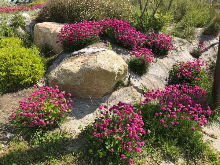 "MASSIF" başlıklı Fotoğraf Cathou-Bazec tarafından, Orijinal sanat