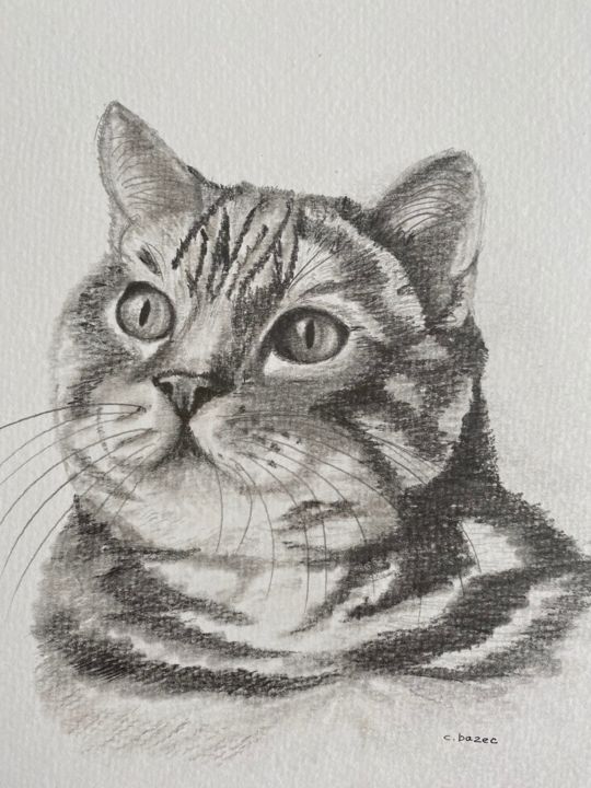 Chat Tigre Dessin Drawing By Cathou Bazec Artmajeur