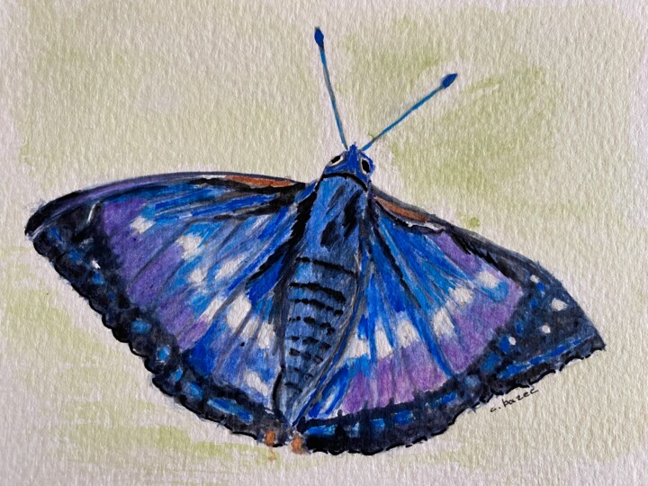 Peinture intitulée "Papillon bleu" par Cathou-Bazec, Œuvre d'art originale, Acrylique