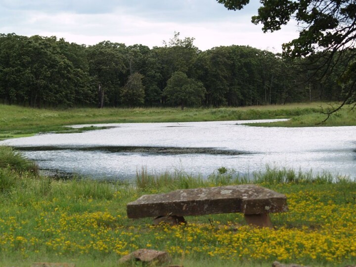 Фотография под названием "Beautiful Pond" - Cathy Robertson, Подлинное произведение искусства, Не манипулируемая фотография