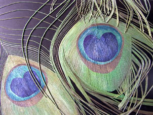 Painting titled "peacock feathers -" by Cathy Savels, Original Artwork