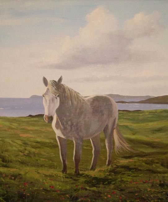 Painting titled "connemara pony" by Cathal O Malley, Original Artwork