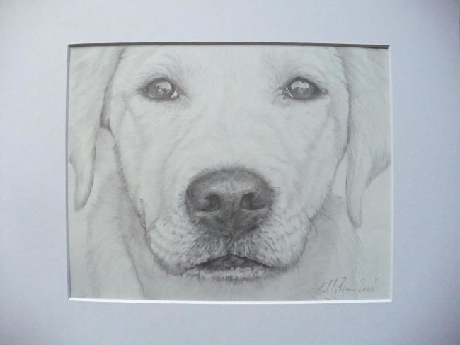 Drawing titled "Focused!" by Kelly, Original Art,