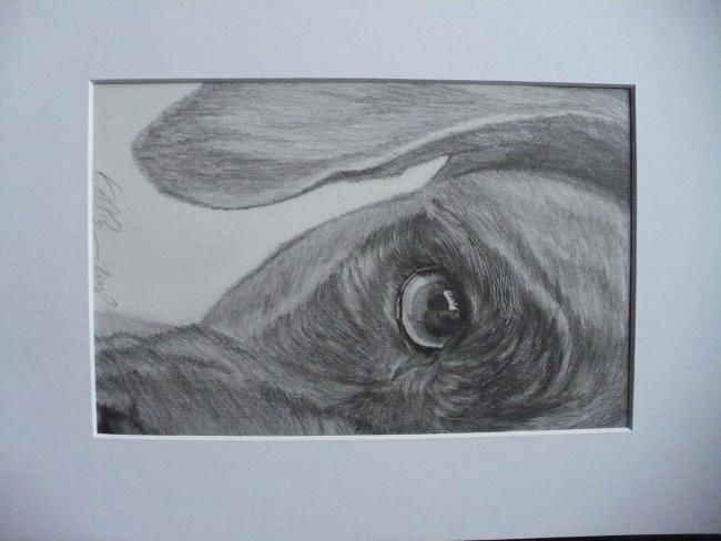Drawing titled "perplexed" by Kelly, Original Art,