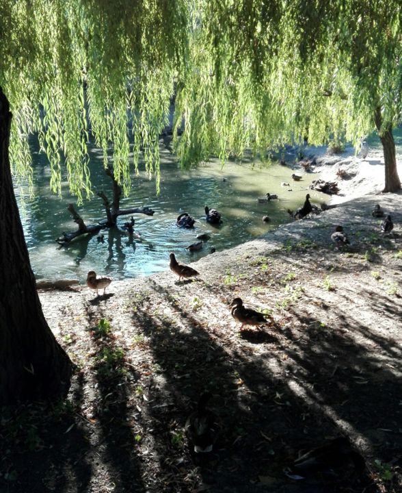 Photographie intitulée "Am Wasser" par Brigitte Schäfer, Œuvre d'art originale