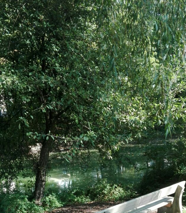 Fotografie mit dem Titel "Ruheplatz am Weiher" von Brigitte Schäfer, Original-Kunstwerk