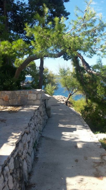 Fotografia intitulada "Weg zum Strand" por Brigitte Schäfer, Obras de arte originais