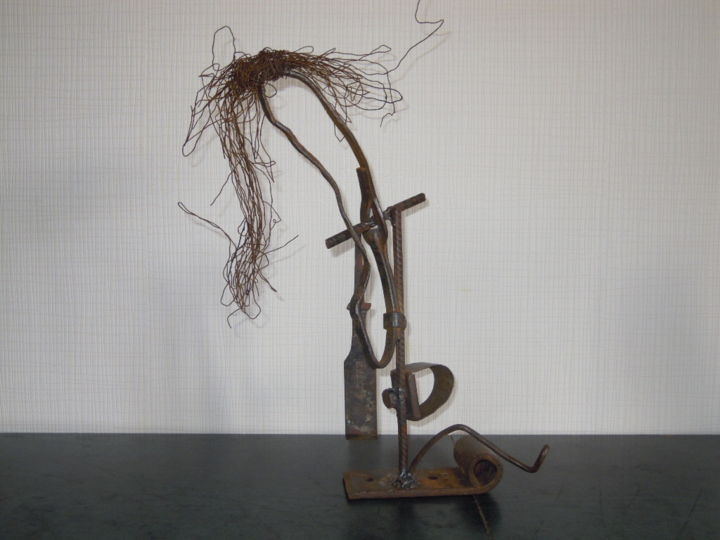 Sculpture intitulée "dscn0882.jpg" par Claudine Delière, Œuvre d'art originale