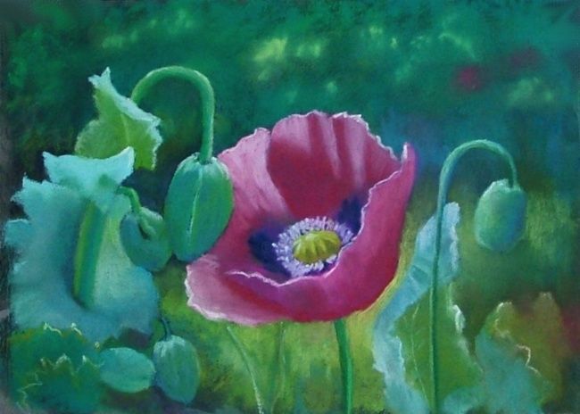 Painting titled "Wild Poppy" by Christine Derrick, Original Artwork