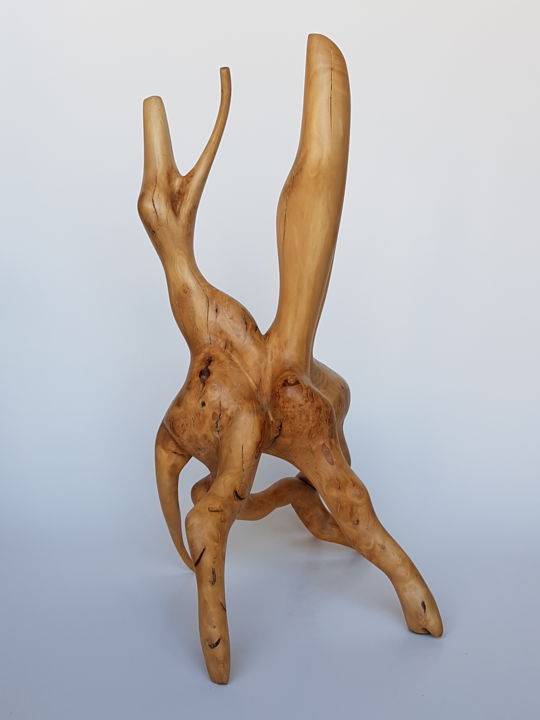 Sculpture titled "Le liens sous-jacent" by Cécile Devezeaux De Lavergne, Original Artwork, Wood