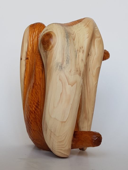 Sculpture intitulée "L'Origine du Monde" par Cécile Devezeaux De Lavergne, Œuvre d'art originale, Bois