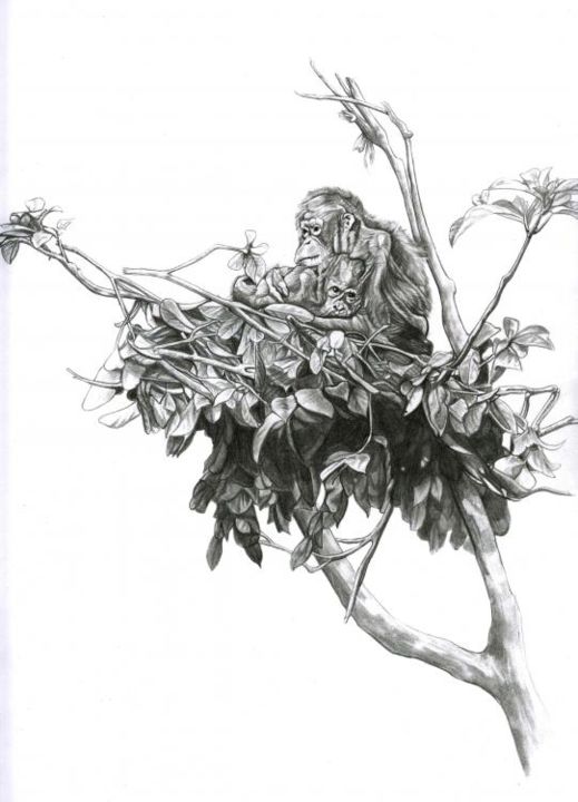 Dessin intitulée "Orang-outang" par Cécile Aquisti, Œuvre d'art originale