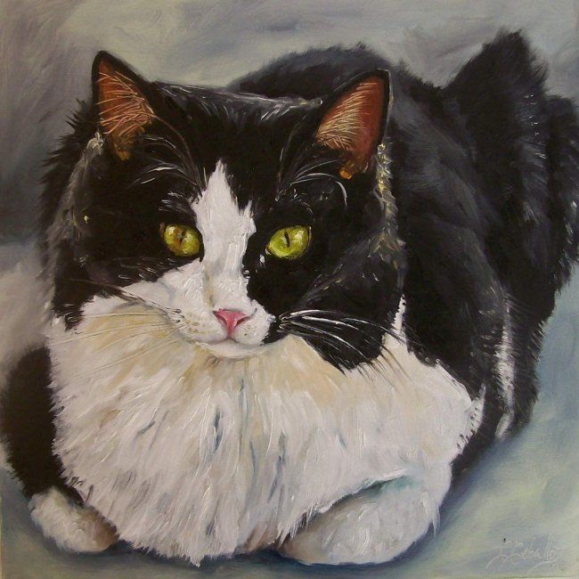 Pintura intitulada "Cat" por C Ceballos, Obras de arte originais, Óleo