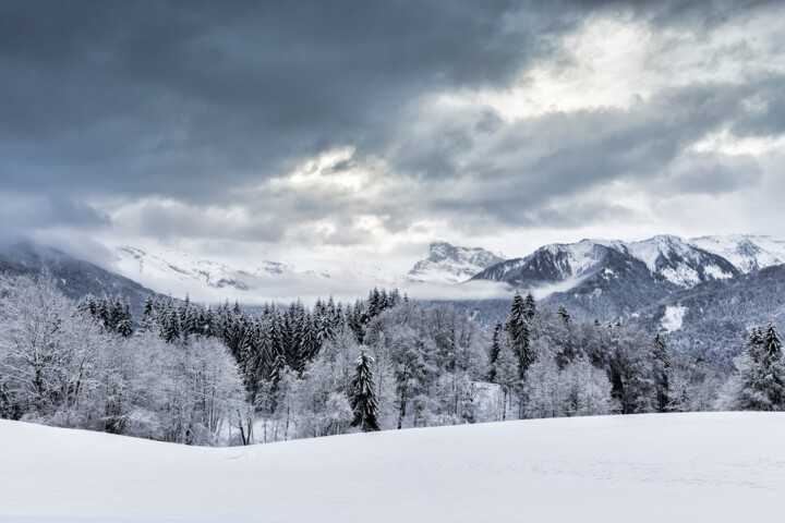 Photographie intitulée "Snow" par Cédric Brion (Studio Clavicule Pics), Œuvre d'art originale, Photographie numérique