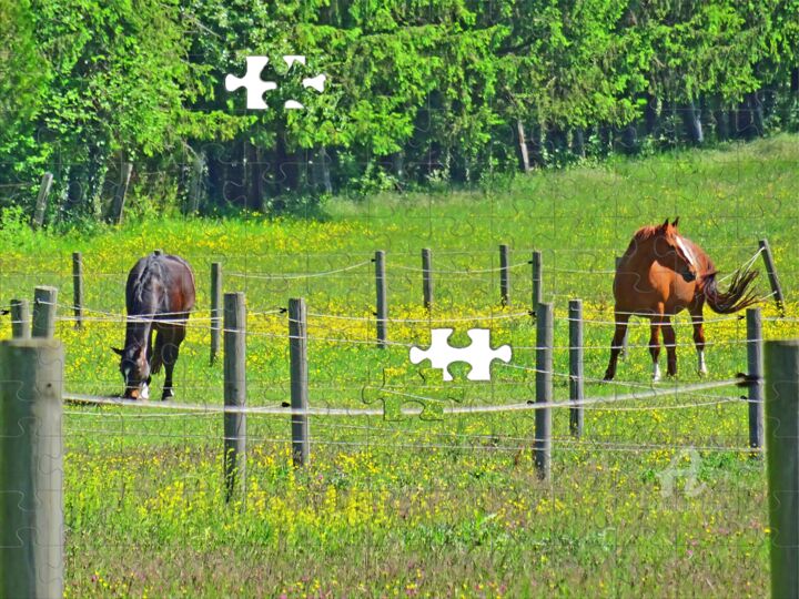 Photography titled "Horses Shades Jings…" by Cédric Hajiji, Original Artwork, Manipulated Photography