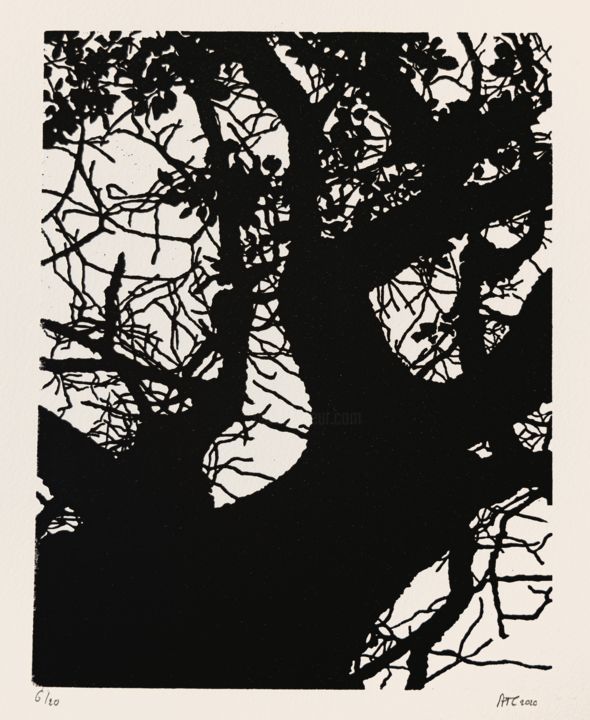 Gravures & estampes intitulée "Feuillu noir" par Céline Auvillain Tirehote, Œuvre d'art originale, Linogravures