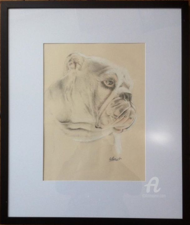 Drawing titled "lee-joyce-bull.jpg" by Céline Lafont, Original Artwork, Pencil