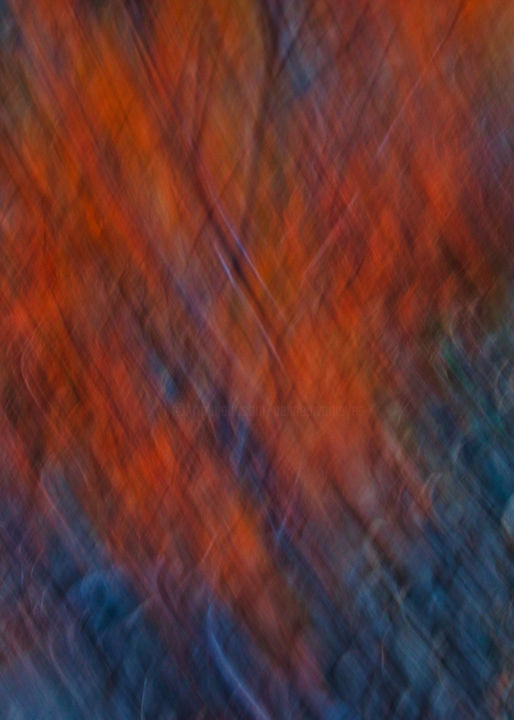 Photographie intitulée "Le rouge buisson" par Céline Pivoine Eyes, Œuvre d'art originale, Photographie numérique