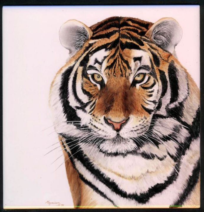 Painting titled "Tigre" by Myriam Suter, Original Artwork