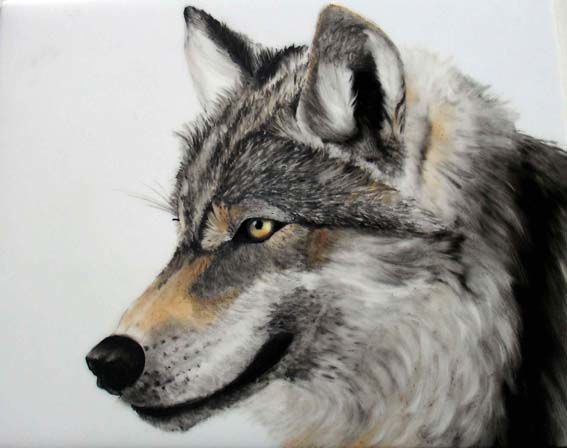 Ζωγραφική με τίτλο "Loup gris du Canada" από Myriam Suter, Αυθεντικά έργα τέχνης