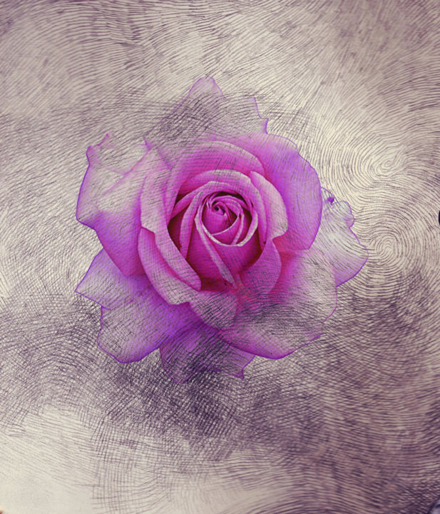 Digitale Kunst getiteld "Roses Drawings n.1" door Maria Cristina Cerminara, Origineel Kunstwerk, Digitaal Schilderwerk