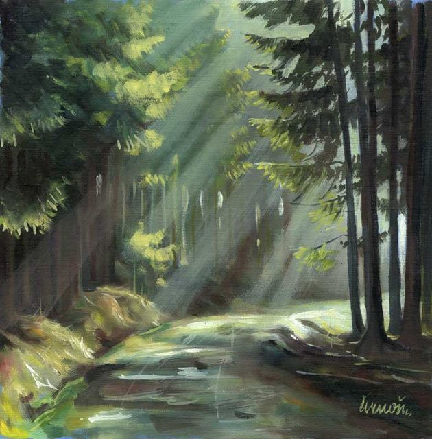 Peinture intitulée "Shine in forest" par Palomio, Œuvre d'art originale, Huile