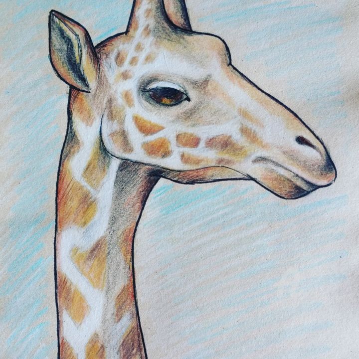 Drawing titled "girafe au crayon" by Caroline Farys, Original Artwork, Pencil