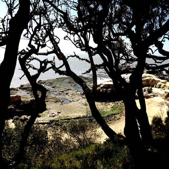 Photography titled "SANS TITRE" by Ly-Rose, Original Art,