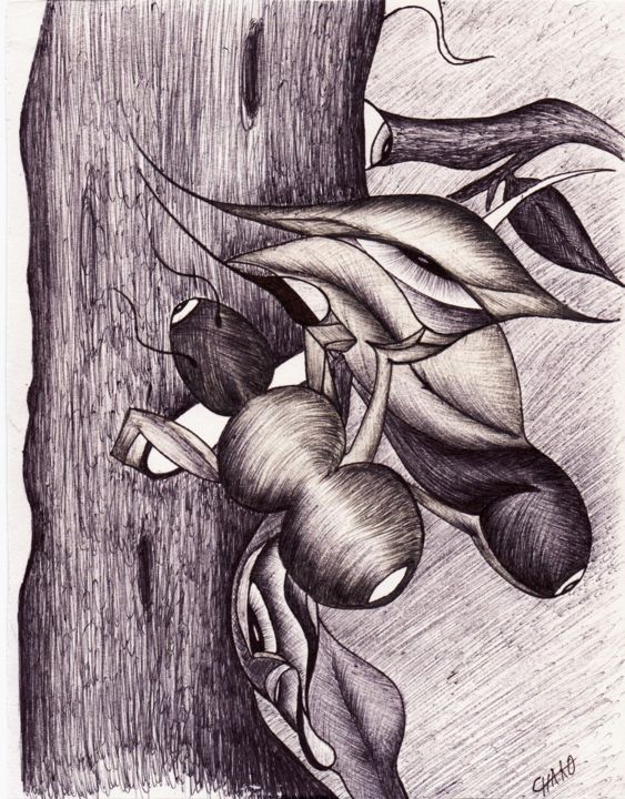 Drawing titled "hormiga introvertida" by Chako Ojo, Original Artwork, Ballpoint pen
