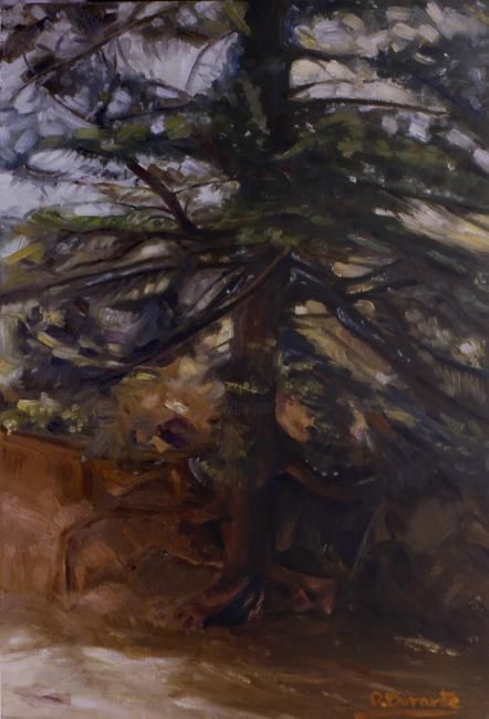 Pintura titulada "PINSAPO EN LA SIERA…" por R. Durante, Obra de arte original,