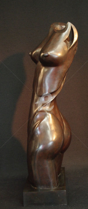 Sculpture titled "liane.jpg" by François Chamming'S, Original Artwork