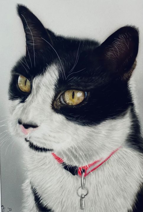 Painting titled "Tuxedo Cat ( commis…" by Johan De Champs, Original Art, Airbrush