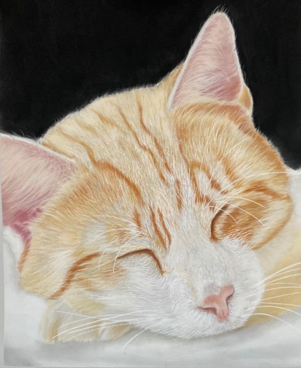 Schilderij getiteld "Sleepyhead" door Johan De Champs, Origineel Kunstwerk, Pastel