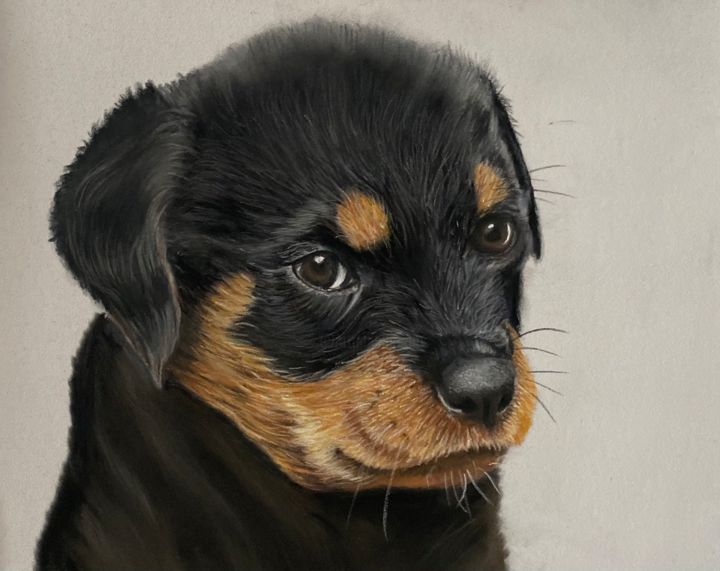 Pintura titulada "Rottweiler puppy" por Johan De Champs, Obra de arte original, Pastel