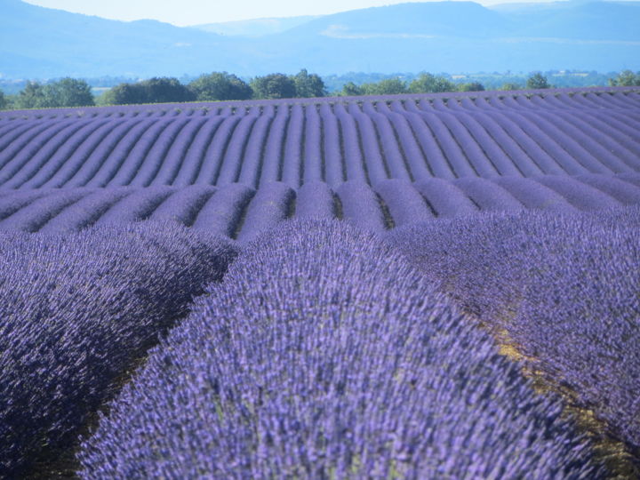 Photography titled "valensole.jpg" by Chantal Martin (chm), Original Artwork