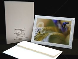 Photographie intitulée "Cartes de souhaits…" par Chantal Gagné, Œuvre d'art originale