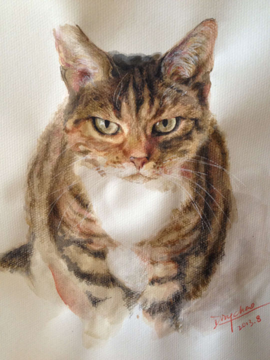 Drawing titled "Colorpencilcats.Sit…" by Chao Ding, Original Artwork, Pencil