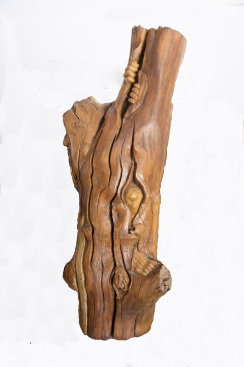 Скульптура под названием "O Sentido da Vida" - Roberto Barata, Подлинное произведение искусства, Дерево