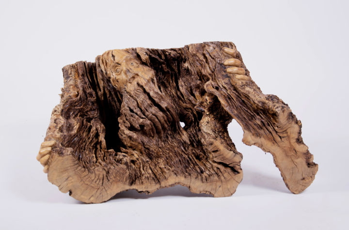 Sculpture titled "spiritus-olivae-1.j…" by Roberto Barata, Original Artwork, Wood