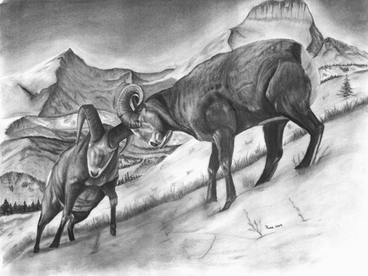 Drawing titled "Bighorn Sheep the B…" by Russ Smith, Original Artwork, Other