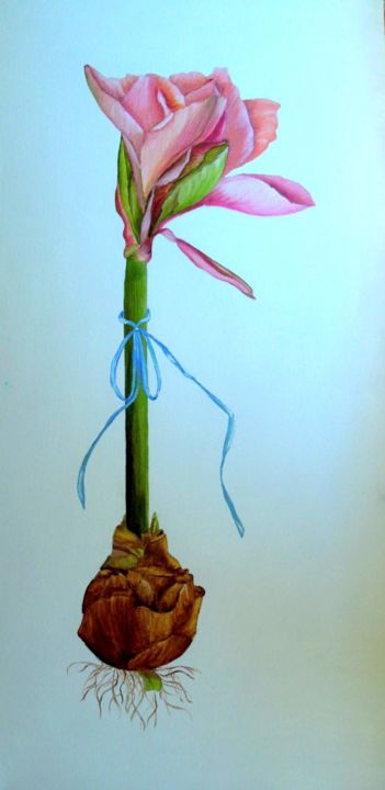 Pintura intitulada "Amaryllis" por Charlene Wooden, Obras de arte originais, Óleo
