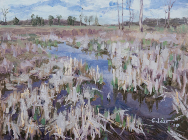 Painting titled "Wetland" by Charles Jiao, Original Artwork, Oil