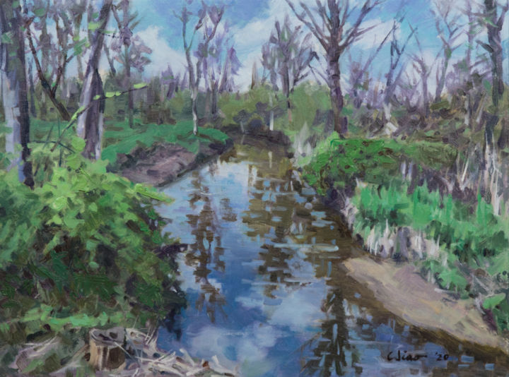 Painting titled "Creek in Spring" by Charles Jiao, Original Artwork, Oil